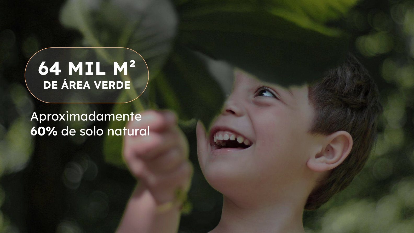 64 mil m² de área verde